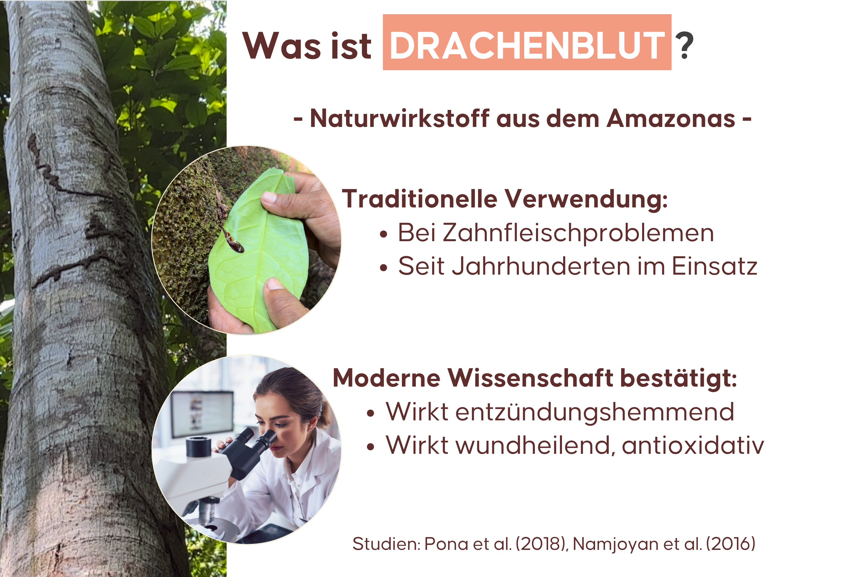 good decision. - Amazonas Drachenblut Zahncreme
