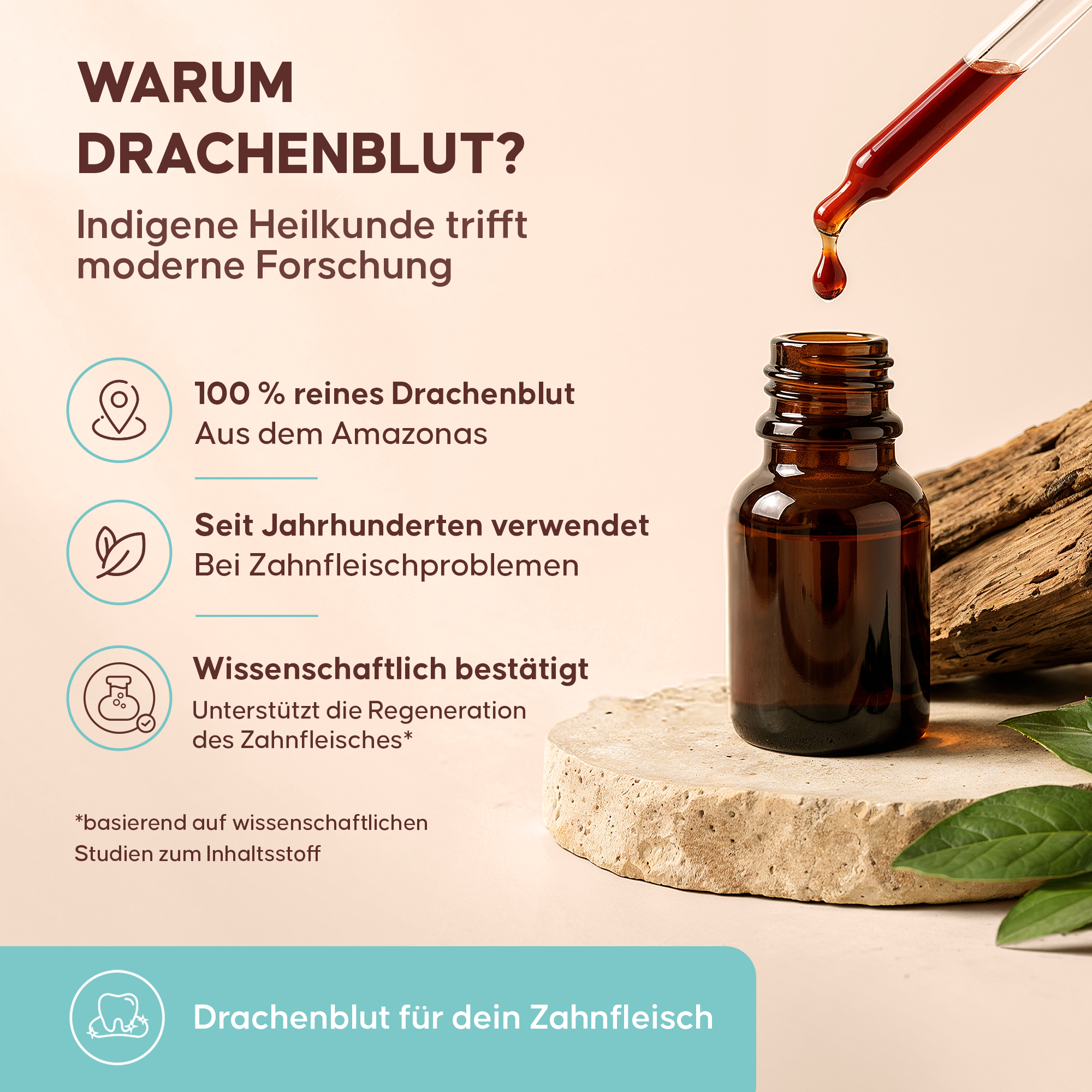 Zahnfleischpflege mit Drachenblut